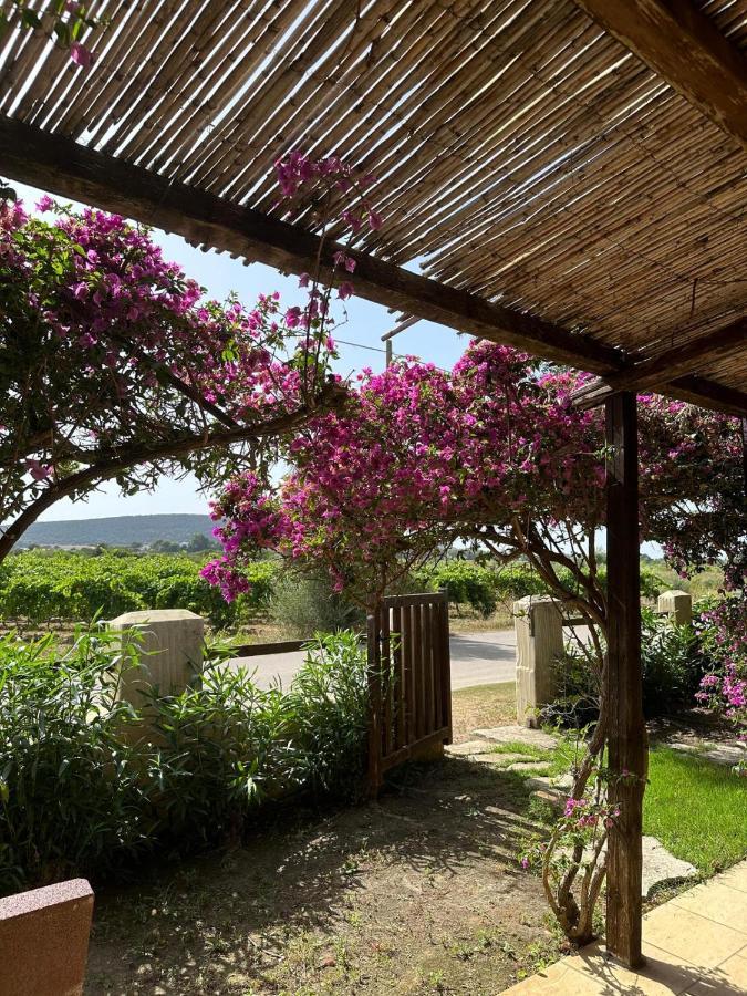 Villa Juniperus Porto Pino Sant'Anna Arresi Eksteriør billede