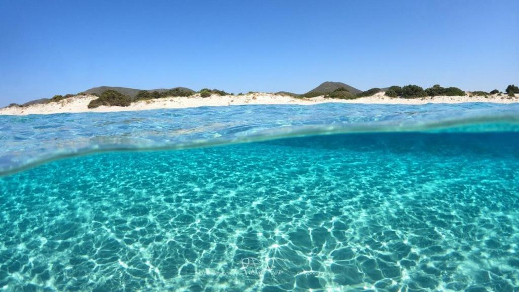 Villa Juniperus Porto Pino Sant'Anna Arresi Eksteriør billede